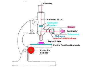 Microscopia: “ver o pequeno
   ordens de grandezas:
 