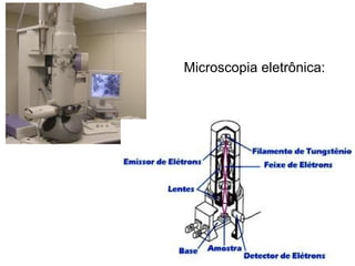 Microscopia eletrônica:
 