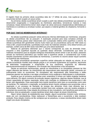 O registro fóssil da primeira célula eucariótica data de 1,7 bilhão de anos, mas supõe-se que os
eucariontes tenham surgido um pouco antes.
      As primeiras células eucarióticas teriam surgido a partir das células procarióticas que passaram a
desenvolver evaginações e invaginações da membrana plasmática, tornando-se maiores e mais
complexas. Esses dobramentos teriam dado origem às várias estruturas citoplasmáticas delimitadas por
membrana e à carioteca ou envelope nuclear, que separa o material genético do citoplasma, formando o
núcleo.

POR QUE TANTAS MEMBRANAS INTERNAS?

       As células eucarióticas possuem várias estruturas internas delimitadas por membranas, enquanto
as células procarióticas não as possuem. A explicação provável para essa complexa profusão de
membranas internas parece estar relacionada com a proporção relativa entre superfície e volume. As
células eucarióticas têm geralmente volume muito maior que as procarióticas (cerca de 1000 vezes ou
mais) e têm, proporcionalmente, quantidade muito maior de materiais celulares. Uma célula humana, por
exemplo, contém cerca de 800 vezes mais DNA que uma célula bacteriana!
       Sabe-se da geometria elementar que o volume corresponde ao cubo da dimensão linear,
enquanto a área superficial equivale ao quadrado dessa dimensão. Considerando que todos os
materiais necessários para as reações biológicas intracelulares devem entrar e sair da célula, passando
através da membrana plasmática que reveste toda a superfície celular, e considerando que muitas
reações importantes ocorrem associadas às membranas, o aumento no volume celular requer aumento
na superfície das membranas.
       As células procarióticas apresentam superfície celular adequada em relação ao volume. Já as
células eucarióticas mantêm essa relação graças a um aumento suplementar da superfície, decorrente
de elaboradas invaginações e evaginações de sua membrana, originando as diferentes
estruturasmembranosas do citoplasma, com exceção das mitocôndrias e dos cloroplastos.
       Dentre as estruturas membranosas, apenas as mitocôndrias e os cloroplastos parecem ter tido
origem diferente das demais. As mitocôndrias são responsáveis pela respiração celular, ocorrendo em
praticamente todos os eucariontes. Os cloroplastos são responsáveis pela fotossíntese e estão
presentes apenas nas plantas e nas algas unicelulares (como euglenas e diatomáceas) e multicelulares.
       Supõe-se que os primeiros eucariontes eram anaeróbios e tinham por hábito englobar bactérias
como alimento. Em algum momento da evolução desses organismos, algumas dessas bactérias, que já
tinham capacidade de realizar respiração, teriam sido mantidas no citoplasma dos eucariontes e não
teriam sido degradadas. Essa associação teria trazido benefícios tanto para os eucariontes como para
as bactérias. Por realizarem a respiração, as bactérias teriam trazido vantagens aos eucariontes, pois a
respiração é um processo de liberação de energia dos alimentos muito mais eficiente que a
fermentação. Para a bactéria, a associação também teria sido vantajosa, pois ela recebia proteção e
nutrientes dos eucariontes. Essa relação de simbiose do tipo mutualismo, com benefícios para ambos os
indivíduos, teria se perpetuado, e essas bactérias teriam dado origem às atuais mitocôndrias.
       Algum tempo depois de estabelecida essa relação, alguns eucariontes iniciaram outra simbiose,
desta vez com cianobactérias. Estas realizavam a fotossíntese para o eucarionte e dele recebiam
proteção. Essa relação mostrou-se tão vantajosa que se perpetuou, e essas cianobactérias teriam dado
origem aos atuais cloroplastos.




                                                     10
 