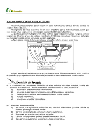 SURGIMENTO DOS SERES MULTICELULARES

      Os unicelulares eucariontes deram origem aos seres multicelulares, fato que deve ter ocorrido há
cerca de 1bilhão de anos.
      O surgimento da célula eucariótica foi um passo importante para a multicelularidade. Assim que
esse tipo de célula surgiu, pouco tempo depois surgiram também os multicelulares.
      As plantas evoluíram muito provavelmente a partir de algas verdes unicelulares. Fungos e animais
surgiram de diferentes grupos de protistas heterótrofos. Evidências moleculares indicam que os fungos
são mais aparentados com os animais do que com as plantas.
      A figura abaixo mostra de forma simplificada a relação evolutiva entre os seres vivos.




      Origem e evolução das células e dos grupos de seres vivos. Neste esquema não estão incluídos
os protistas, grupo cuja classificação é bastante problemática, como será discutido posteriormente.




01. A Escherichia coli, usualmente encontrada no trato intestinal dos seres humanos, é uma das
    bactérias mais estudadas. A característica que permite classificá-la como procarioto é:
     a)     ausência de endomembranas e mitocôndrias.
     b)     presença de apenas um cromossomo, como DNA associado a proteínas.
     c)     presença de ribossomos, estruturas envolvidas na síntese protéica.
     d)     nutrição heterotrófica,
     e)     organização unicelular microscópica


02.   Assinale a alternativa correta.
      a)   As células dos organismos procariontes são formadas basicamente por uma cápsula de
           proteína que abriga o material nuclear.
      b)   Os vírus são exemplos de animais unicelulares eucariontes.
      c)   A ameba é um organismo procarionte unicelular.
      d)   Os vírus são organismos que não apresentam estrutura celular.
      e)   Os organismos eucariontes apresentam células sem carioteca.


                                                    12
 