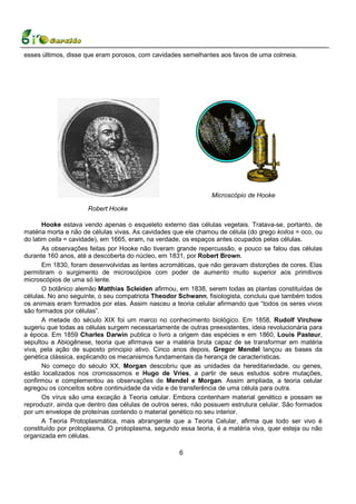 esses últimos, disse que eram porosos, com cavidades semelhantes aos favos de uma colmeia.




                                                                Microscópio de Hooke

                     Robert Hooke

       Hooke estava vendo apenas o esqueleto externo das células vegetais. Tratava-se, portanto, de
matéria morta e não de células vivas. As cavidades que ele chamou de célula (do grego koilos = oco, ou
do latim cella = cavidade), em 1665, eram, na verdade, os espaços antes ocupados pelas células.
       As observações feitas por Hooke não tiveram grande repercussão, e pouco se falou das células
durante 160 anos, até a descoberta do núcleo, em 1831, por Robert Brown.
       Em 1830, foram desenvolvidas as lentes acromáticas, que não geravam distorções de cores. Elas
permitiram o surgimento de microscópios com poder de aumento muito superior aos primitivos
microscópios de uma só lente.
       O botânico alemão Matthias Scleiden afirmou, em 1838, serem todas as plantas constituídas de
células. No ano seguinte, o seu compatriota Theodor Schwann, fisiologista, concluiu que também todos
os animais eram formados por elas. Assim nasceu a teoria celular afirmando que “todos os seres vivos
são formados por células”.
       A metade do século XIX foi um marco no conhecimento biológico. Em 1858, Rudolf Virchow
sugeriu que todas as células surgem necessariamente de outras preexistentes, ideia revolucionária para
a época. Em 1859 Charles Darwin publica o livro a origem das espécies e em 1860, Louis Pasteur,
sepultou a Abiogênese, teoria que afirmava ser a matéria bruta capaz de se transformar em matéria
viva, pela ação de suposto principio ativo. Cinco anos depois, Gregor Mendel lançou as bases da
genética clássica, explicando os mecanismos fundamentais da herança de características.
       No começo do século XX, Morgan descobriu que as unidades da hereditariedade, ou genes,
estão localizados nos cromossomos e Hugo de Vries, a partir de seus estudos sobre mutações,
confirmou e complementou as observações de Mendel e Morgan. Assim ampliada, a teoria celular
agregou os conceitos sobre continuidade da vida e de transferência de uma célula para outra.
       Os vírus são uma exceção à Teoria celular. Embora contenham material genético e possam se
reproduzir, ainda que dentro das células de outros seres, não possuem estrutura celular. São formados
por um envelope de proteínas contendo o material genético no seu interior.
       A Teoria Protoplasmática, mais abrangente que a Teoria Celular, afirma que todo ser vivo é
constituído por protoplasma. O protoplasma, segundo essa teoria, é a matéria viva, quer esteja ou não
organizada em células.

                                                     6
 