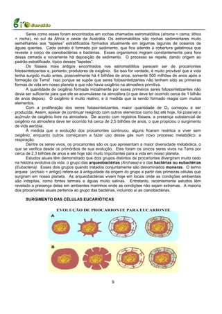 Seres como esses foram encontrados em rochas chamadas estromatólitos (stroma = cama; lithos
= rocha), no sul da África e oeste da Austrália. Os estromatólitos são rochas sedimentares muito
semelhantes aos “tapetes” estratificados formados atualmente em algumas lagunas de oceanos de
águas quentes. Cada estrato é formado por sedimento, que fica aderido à cobertura gelatinosa que
reveste o corpo de cianobactérias e bactérias. Esses organismos migram constantemente para fora
dessa camada e novamente há deposição de sedimento. O processo se repete, dando origem ao
padrão estratificado, típico desses “tapetes”.
      Os fósseis mais antigos encontrados nos estromatólitos parecem ser de procariontes
fotossintetizantes e, portanto, produtores de oxigênio. Se isso for verdade, é muito provável que a vida
tenha surgido muito antes, possivelmente há 4 bilhões de anos, somente 500 milhões de anos após a
formação da Terra! Isso porque se supõe que seres fotossintetizantes não tenham sido as primeiras
formas de vida em nosso planeta e que não havia oxigênio na atmosfera primitiva.
      A quantidade de oxigênio formada inicialmente por esses primeiros seres fotossintetizantes não
devia ser suficiente para que ele se acumulasse na atmosfera (o que deve ter ocorrido cerca de 1 bilhão
de anos depois). O oxigênio é muito reativo, e à medida que ia sendo formado reagia com muitos
elementos.
      Com a proliferação dos seres fotossintetizantes, maior quantidade de O2 começou a ser
produzida. Assim, apesar de continuar reagindo com outros elementos como faz até hoje, foi possível o
acúmulo de oxigênio livre na atmosfera. De acordo com registros fósseis, a presença substancial de
oxigênio na atmosfera deve ter ocorrido há cerca de 2,5 bilhões de anos, o que propiciou o surgimento
de vida aeróbia.
      À medida que a evolução dos procariontes continuou, alguns ficaram restritos a viver sem
oxigênio, enquanto outros começaram a fazer uso desse gás num novo processo metabólico: a
respiração.
      Dentre os seres vivos, os procariontes são os que apresentam a maior diversidade metabólica, o
que se verifica desde os primórdios de sua evolução. Eles foram os únicos seres vivos na Terra por
cerca de 2,3 bilhões de anos e até hoje são muito importantes para a vida em nosso planeta.
      Estudos atuais têm demonstrado que dois grupos distintos de procariontes divergiram muito cedo
na história evolutiva da vida: o grupo das arqueobactérias (Archaea) e o das bactérias ou eubactérias
(Eubacteria). Esses dois grupos quando tratados conjuntamente são denominados moneras. O termo
arquea (archaio = antigo) refere-se à antiguidade da origem do grupo a partir das primeiras células que
surgiram em nosso planeta. As arqueobactérias vivem hoje em locais onde as condições ambientais
são inóspitas, como fontes termais e águas muito salinas. Entretanto, recentemente estudos têm
revelado a presença delas em ambientes marinhos onde as condições não sejam extremas. A maioria
dos procariontes atuais pertence ao grupo das bactérias, incluindo aí as cianobactérias.

      SURGIMENTO DAS CÉLULAS EUCARIÓTICAS




                                                      9
 