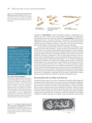 14 Alberts, Bray, Hopkin, Johnson, Lewis, Raff, Roberts & Walter
chamados de eucariotos (a partir das palavras gregas eu, significando “ver-
dadeiro” ou “real”, e karyon, uma “parte central” ou “núcleo”). Os organismos
cujas células não têm um núcleo são chamados de procariotos (a partir de pro,
significando “antes”). Os termos “bactéria” e “procarioto” são frequentemente
utilizados de forma alternada, embora veremos que a categoria dos procariotos
também inclui outra classe de células, as arqueobactérias, que são tão remota-
mente relacionadas às bactérias que lhes é dado um nome separado.
Os procariotos são tipicamente esféricos, semelhantes a um bastão ou em
forma de um saca-rolha e pequenos – apenas uns poucos micrômetros de compri-
mento (Figura 1-10), embora existam algumas espécies gigantes, 100 vezes maiores
do que isso. Elas frequentemente têm uma cobertura protetora resistente, chamada
de parede celular, envolvendo a membrana plasmática, que envolve um único com-
partimento contendo o citoplasma e o DNA. Ao microscópio eletrônico, esse inte-
rior da célula normalmente aparece como uma matriz de texturas variáveis sem ne-
nhuma estrutura interna óbvia organizada (Figura 1-11). As células se reproduzem
rapidamente, dividindo-se em duas. Sob condições ótimas, quando os nutrientes
são abundantes, uma célula procariótica pode duplicar-se em um espaço de tem-
po tão curto quanto 20 minutos. Em 11 horas, por divisões repetidas, um único
procarioto pode dar origem a mais de 8 bilhões de descendentes (o que excede o
número total de humanos presentes sobre a Terra). Graças ao seu grande número,
velocidade de crescimento rápido e capacidade de trocar porções de material gené-
tico por um processo similar ao sexo, as populações de células procarióticas podem
desenvolver-se rapidamente, adquirindo de forma rápida a capacidade de utilizar
uma nova fonte de alimento ou resistir à morte por um antibiótico novo.
Os procariotos são as células mais diversas
A maioria dos procariotos vive como um organismo unicelular, embora alguns se
unam para formar cadeias, grupos ou outras estruturas multicelulares organiza-
das. Na forma e na estrutura, os procariotos podem parecer simples e limitados,
mas em termos de química eles são a classe mais diversa e criativa de células.
Essas criaturas exploram uma enorme amplitude de hábitats, a partir de poças
quentes de lama vulcânica até o interior de outras células vivas, e excedem muito
em número outros organismos vivos na Terra. Algumas são aeróbias, utilizando
oxigênio para oxidar moléculas de alimento; outras são estritamente anaeróbias
e morrem à mínima exposição ao oxigênio. Como discutiremos mais adiante
QUESTÃO 1-4
Uma bactéria pesa cerca de 10
–12
g e
pode dividir-se a cada 20 minutos. Se
uma única célula bacteriana continuasse
a dividir-se a essa velocidade, quanto
tempo levaria antes que a massa de
bactérias se igualasse à da Terra (6 ×
10
24
kg)? Compare seu resultado com o
fato de que as bactérias se originaram
há no mínimo 3,5 bilhões de anos e
têm se dividido desde então. Explique
o paradoxo aparente. (O número N de
células em uma cultura no tempo t é
descrito pela equação N = N0 × 2
t/G
,
onde N0 é o número de células no tem-
po zero, e G é o tempo de duplicação
da população.)
Explique
mero N deN
empo
G
,
o tem
cação
Figura 1-10 As bactérias se apresentam com
diferentes formas e tamanhos. Bactérias típi-
cas esféricas, em forma de bastão e espiraladas
estão desenhadas em proporção. As células
espirais mostradas são os organismos que cau-
sam a sífilis.
Células esféricas,
p. ex., Streptococcus
Células em forma de bastão,
p. ex., Escherichia coli,
Salmonella
Células espirais,
p. ex., Treponema pallidum
2 µm
Nota sobre nomes biológicos
As espécies de organismos vivos são oficial-
mente identificadas por um par de palavras
em latim normalmente escritas em itálico,
semelhante ao nome e sobrenome de uma
pessoa. O gênero (Escherichia, correspon-
dendo ao nome) é anunciado primeiro; o
segundo termo (coli) classifica este, identifi-
cando uma espécie em particular que perten-
ce àquele gênero. O nome do gênero pode
ser abreviado (E. coli) ou a classificação da
espécie pode ser retirada (de modo que fre-
quentemente falamos da mosca Drosophila,
querendo dizer Drosophila melanogaster).
Figura 1-11 A bactéria Escherichia coli (E.
coli) é mais bem compreendida a fundo do
que qualquer outro organismo vivo. Uma mi-
crografia eletrônica de uma secção longitudinal
é mostrada aqui; o DNA da célula está concen-
trado na região levemente corada. (Cortesia de
E. Kellenberger.) 1 µm
 