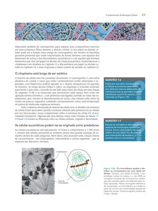 Fundamentos da Biologia Celular 23
dependem também do citoesqueleto para separar seus componentes internos
em dois conjuntos-filhos durante a divisão celular. O seu papel na divisão ce-
lular pode ser a função mais antiga do citoesqueleto; até mesmo as bactérias
possuem proteínas que estão relacionadas de forma distante com aquelas dos
filamentos de actina e dos microtúbulos eucarióticos e com aquelas que formam
filamentos que têm um papel na divisão da célula procariótica. Examinaremos o
citoplasma com detalhes no Capítulo 17 e discutiremos seu papel na divisão ce-
lular no Capítulo 18, e suas respostas a sinais a partir da metade no Capítulo 16.
O citoplasma está longe de ser estático
O interior da célula está em constante movimento. O citoesqueleto é uma selva
dinâmica de cordas e varas que estão continuamente sendo amarradas e se-
paradas; seus filamentos podem agrupar-se e depois desaparecer em questão
de minutos. Ao longo dessas trilhas e cabos, as organelas e vesículas aceleram
para frente e para trás, correndo de um lado para outro da célula em uma fração
de segundo. O RE e as moléculas que preenchem cada espaço livre estão em
agitação térmica frenética – com proteínas não ligadas zunindo ao redor tão ra-
pidamente, que, mesmo se movimentando ao acaso, elas visitam cada canto da
célula em poucos segundos, colidindo constantemente como uma tempestade
de poeira de moléculas orgânicas menores.
Nem a natureza alvoroçada do interior da célula nem os detalhes da estrutura
da célula foram apreciados quando cientistas olharam pela primeira vez as células
por um microscópio; nossa compreensão sobre a estrutura da célula foi se acu-
mulando lentamente. Algumas das descobertas-chave estão listadas na Tabela 1-1.
O Painel 1-2 resume as diferenças entre as células animais, vegetais e bacterianas.
As células eucarióticas podem ter-se originado como predadoras
As células eucarióticas são tipicamente 10 vezes o comprimento e 1.000 vezes
o volume das células procarióticas (embora exista uma grande variação de ta-
manho dentro de cada categoria). Além disso, elas possuem uma coleção inteira
de características – um citoesqueleto, mitocôndrias e outras organelas – que as
separam das Bacteria e Archaea.
QUESTÃO 1-6
Sugira por que seria vantajoso para
as células eucarióticas desenvolve-
rem sistemas internos elaborados de
membranas que as permitem importar
substâncias a partir do exterior, como
mostrado na Figura 1-25.
so para
nvolve
de
portar
como
QUESTÃO 1-7
Discuta as vantagens e desvantagens
relativas da microscopia óptica e ele-
trônica. Como você poderia visualizar
melhor (a) uma célula viva da pele, (b)
uma mitocôndria de levedura, (c) uma
bactéria e (d) um microtúbulo?
antagens
ica e ele-
izar
e, (b)
uma
Feixe de
microtúbulos
Cromossomos
Figura 1-28 Os microtúbulos ajudam a dis-
tribuir os cromossomos em uma célula em
divisão. Quando uma célula se divide, o seu
envelope nuclear se rompe, e o seu DNA se
condensa em pares de cromossomos visíveis,
que são puxados pelos microtúbulos para cé-
lulas separadas. Nessa micrografia eletrônica
de transmissão, os microtúbulos se irradiam a
partir de um foco em extremidades opostas da
célula em divisão. (Fotomicrografia cortesia de
Conly L. Rieder.)
 