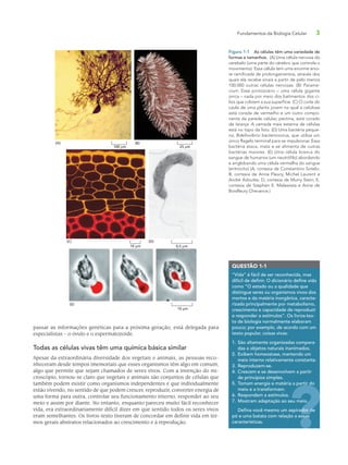 Fundamentos da Biologia Celular 3
passar as informações genéticas para a próxima geração, está delegada para
especialistas – o óvulo e o espermatozoide.
Todas as células vivas têm uma química básica similar
Apesar da extraordinária diversidade dos vegetais e animais, as pessoas reco-
nheceram desde tempos imemoriais que esses organismos têm algo em comum,
algo que permite que sejam chamados de seres vivos. Com a invenção do mi-
croscópio, tornou-se claro que vegetais e animais são conjuntos de células que
também podem existir como organismos independentes e que individualmente
estão vivendo, no sentido de que podem crescer, reproduzir, converter energia de
uma forma para outra, controlar seu funcionamento interno, responder ao seu
meio e assim por diante. No entanto, enquanto pareceu muito fácil reconhecer
vida, era extraordinariamente difícil dizer em que sentido todos os seres vivos
eram semelhantes. Os livros-texto tiveram de concordar em definir vida em ter-
mos gerais abstratos relacionados ao crescimento e à reprodução.
QUESTÃO 1-1
“Vida” é fácil de ser reconhecida, mas
difícil de definir. O dicionário define vida
como “O estado ou a qualidade que
distingue seres ou organismos vivos dos
mortos e da matéria inorgânica, caracte-
rizada principalmente por metabolismo,
crescimento e capacidade de reproduzir
e responder a estímulos”. Os livros-tex-
to de biologia normalmente elaboram
pouco; por exemplo, de acordo com um
texto popular, coisas vivas:
1. São altamente organizadas compara-
das a objetos naturais inanimados.
2. Exibem homeostase, mantendo um
meio interno relativamente constante.
3. Reproduzem-se.
4. Crescem e se desenvolvem a partir
de princípios simples.
5. Tomam energia e matéria a partir do
meio e a transformam.
6. Respondem a estímulos.
7. Mostram adaptação ao seu meio.
Defina você mesmo um aspirador de
pó e uma batata com relação a essas
características.
o.
dor de
ssas
Figura 1-1 As células têm uma variedade de
formas e tamanhos. (A) Uma célula nervosa do
cerebelo (uma parte do cérebro que controla o
movimento). Essa célula tem uma enorme árvo-
re ramificada de prolongamentos, através dos
quais ela recebe sinais a partir de pelo menos
100.000 outras células nervosas. (B) Parame-
cium. Esse protozoário – uma célula gigante
única – nada por meio dos batimentos dos cí-
lios que cobrem a sua superfície. (C) O corte do
caule de uma planta jovem na qual a celulose
está corada de vermelho e um outro compo-
nente da parede celular, pectina, está corado
de laranja. A camada mais externa de células
está no topo da foto. (D) Uma bactéria peque-
na, Bdellovibrio bacteriovorus, que utiliza um
único flagelo terminal para se impulsionar. Essa
bactéria ataca, mata e se alimenta de outras
bactérias maiores. (E) Uma célula branca do
sangue de humanos (um neutrófilo) abordando
e englobando uma célula vermelha do sangue
(eritrócito) (A, cortesia de Constantino Sotelo;
B, cortesia de Anne Fleury, Michel Laurent e
André Adoutte; D, cortesia de Murry Stein; E,
cortesia de Stephen E. Malawista e Anne de
Boisfleury Chevance.)
(A) (B)
(C) (D)
(E)
100 µm 25 µm
10 µm 0,5 µm
10 µm
 