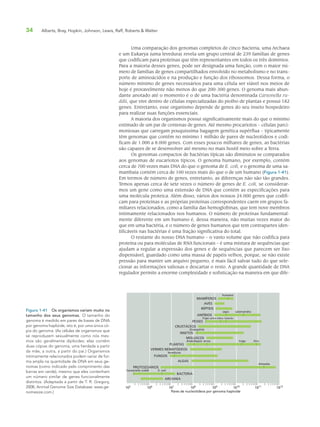 34 Alberts, Bray, Hopkin, Johnson, Lewis, Raff, Roberts & Walter
Uma comparação dos genomas completos de cinco Bacteria, uma Archaea
e um Eukarya (uma levedura) revela um grupo central de 239 famílias de genes
que codificam para proteínas que têm representantes em todos os três domínios.
Para a maioria desses genes, pode ser designada uma função, com o maior nú-
mero de famílias de genes compartilhados envolvido no metabolismo e no trans-
porte de aminoácidos e na produção e função dos ribossomos. Dessa forma, o
número mínimo de genes necessários para uma célula ser viável nos meios de
hoje é provavelmente não menos do que 200-300 genes. O genoma mais abun-
dante anotado até o momento é o de uma bactéria denominada Carsonella ru-
ddii, que vive dentro de células especializadas do piolho de plantas e possui 182
genes. Entretanto, esse organismo depende de genes do seu inseto hospedeiro
para realizar suas funções essenciais.
A maioria dos organismos possui significativamente mais do que o mínimo
estimado de um par de centenas de genes. Até mesmo procariotos – células parci-
moniosas que carregam pouquíssima bagagem genética supérflua – tipicamente
têm genomas que contêm no mínimo 1 milhão de pares de nucleotídeos e codi-
ficam de 1.000 a 8.000 genes. Com esses poucos milhares de genes, as bactérias
são capazes de se desenvolver até mesmo no mais hostil meio sobre a Terra.
Os genomas compactos de bactérias típicas são diminutos se comparados
aos genomas de eucariotos típicos. O genoma humano, por exemplo, contém
cerca de 700 vezes mais DNA do que o genoma de E. coli, e o genoma de uma sa-
mambaia contém cerca de 100 vezes mais do que o de um humano (Figura 1-41).
Em termos de número de genes, entretanto, as diferenças não são tão grandes.
Temos apenas cerca de sete vezes o número de genes de E. coli, se considerar-
mos um gene como uma extensão de DNA que contém as especificações para
uma molécula proteica. Além disso, vários dos nossos 24.000 genes que codifi-
cam para proteínas e as próprias proteínas correspondentes caem em grupos fa-
miliares relacionados, como a família das hemoglobinas, que tem nove membros
intimamente relacionados nos humanos. O número de proteínas fundamental-
mente diferente em um humano é, dessa maneira, não muitas vezes maior do
que em uma bactéria, e o número de genes humanos que tem contrapartes iden-
tificáveis nas bactérias é uma fração significativa do total.
O restante do nosso DNA humano – o vasto volume que não codifica para
proteína ou para moléculas de RNA funcionais – é uma mistura de sequências que
ajudam a regular a expressão dos genes e de sequências que parecem ser lixo
dispensável, guardado como uma massa de papéis velhos, porque, se não existe
pressão para manter um arquivo pequeno, é mais fácil salvar tudo do que sele-
cionar as informações valiosas e descartar o resto. A grande quantidade de DNA
regulador permite a enorme complexidade e sofisticação na maneira em que dife-
Figura 1-41 Os organismos variam muito no
tamanho dos seus genomas. O tamanho do
genoma é medido em pares de bases de DNA
por genoma haploide, isto é, por uma única có-
pia do genoma. (As células de organismos que
se reproduzem sexualmente como nós mes-
mos são geralmente diploides: elas contêm
duas cópias do genoma, uma herdada a partir
da mãe, a outra, a partir do pai.) Organismos
intimamente relacionados podem variar de for-
ma ampla na quantidade de DNA em seus ge-
nomas (como indicado pelo comprimento das
barras em verde), mesmo que eles contenham
um número similar de genes funcionalmente
distintos. (Adaptada a partir de T. R. Gregory,
2008, Animal Genome Size Database: www.ge-
nomesize.com.)
106
105
107
108
109
1010
1011
1012
Pares de nucleotídeos por genoma haploide
MAMÍFEROS
humano
AVES
RÉPTEIS
ANFÍBIOS
PEIXES
CRUSTÁCEOS
INSETOS
MOLUSCOS
PLANTAS
VERMES NEMATÓDEOS
FUNGOS
ALGAS
PROTOZOÁRIOS
BACTERIA
ARCHAEA
sapo
Fugu
Drosophila
Arabidopsis arroz
leveduras
Carsonella ruddii E. coli
Amoeba
trigo lírio
peixe-zebra tubarão
salamandra
 