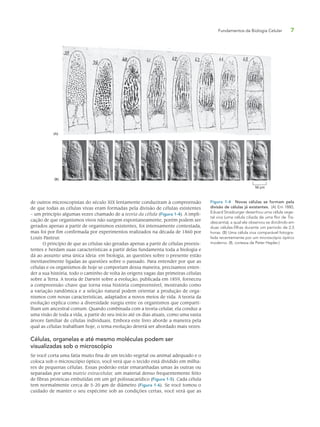Fundamentos da Biologia Celular 7
de outros microscopistas do século XIX lentamente conduziram à compreensão
de que todas as células vivas eram formadas pela divisão de células existentes
– um princípio algumas vezes chamado de a teoria da célula (Figura 1-4). A impli-
cação de que organismos vivos não surgem espontaneamente, porém podem ser
gerados apenas a partir de organismos existentes, foi intensamente contestada,
mas foi por fim confirmada por experimentos realizados na década de 1860 por
Louis Pasteur.
O princípio de que as células são geradas apenas a partir de células preexis-
tentes e herdam suas características a partir delas fundamenta toda a biologia e
dá ao assunto uma única ideia: em biologia, as questões sobre o presente estão
inevitavelmente ligadas às questões sobre o passado. Para entender por que as
células e os organismos de hoje se comportam dessa maneira, precisamos enten-
der a sua história, todo o caminho de volta às origens vagas das primeiras células
sobre a Terra. A teoria de Darwin sobre a evolução, publicada em 1859, forneceu
a compreensão-chave que torna essa história compreensível, mostrando como
a variação randômica e a seleção natural podem orientar a produção de orga-
nismos com novas características, adaptados a novos meios de vida. A teoria da
evolução explica como a diversidade surgiu entre os organismos que comparti-
lham um ancestral comum. Quando combinada com a teoria celular, ela conduz a
uma visão de toda a vida, a partir do seu início até os dias atuais, como uma vasta
árvore familiar de células individuais. Embora este livro aborde a maneira pela
qual as células trabalham hoje, o tema evolução deverá ser abordado mais vezes.
Células, organelas e até mesmo moléculas podem ser
visualizadas sob o microscópio
Se você corta uma fatia muito fina de um tecido vegetal ou animal adequado e o
coloca sob o microscópio óptico, você verá que o tecido está dividido em milha-
res de pequenas células. Essas poderão estar emaranhadas umas às outras ou
separadas por uma matriz extracelular, um material denso frequentemente feito
de fibras proteicas embutidas em um gel polissacarídico (Figura 1-5). Cada célula
tem normalmente cerca de 5-20 μm de diâmetro (Figura 1-6). Se você tomou o
cuidado de manter o seu espécime sob as condições certas, você verá que as
Figura 1-4 Novas células se formam pela
divisão de células já existentes. (A) Em 1880,
Eduard Strasburger desenhou uma célula vege-
tal viva (uma célula ciliada de uma flor de Tra-
descantia), a qual ele observou se dividindo em
duas células-filhas durante um período de 2,5
horas. (B) Uma célula viva comparável fotogra-
fada recentemente por um microscópio óptico
moderno. (B, cortesia de Peter Hepler.)
50 µm
(A)
(B)
 