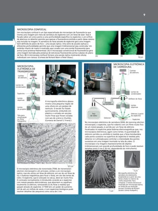 9
MICROSCOPIA ELETRÔNICA
DE VARREDURAMICROSCOPIA
ELETRÔNICA DE
TRANSMISSÃO Canhão
de elétrons
Lentes do
condensador
Lentes
objetivas
Defletor do feixe
Elétrons a partir
do espécime
Espécime
Espécime
Canhão
de elétrons
Lentes do
condensador
Lentes
objetivas
Lentes
do projetor
Tela para
visualização
ou filme
fotográfico
No microscópio eletrônico de varredura (SEM, de scanning electron
microscope), o espécime, que foi coberto com um filme muito fino
de um metal pesado, é varrido por um feixe de elétrons
focalizados no espécime pelas bobinas eletromagnéticas que, nos
microscópios eletrônicos, agem como lentes. A quantidade de
elétrons varridos ou emitidos à medida que o feixe bombardeia
cada ponto sucessivo na superfície do espécime é medida pelo
detector e é utilizada para controlar a intensidade dos pontos
sucessivos em uma imagem montada na tela de vídeo. O
microscópio cria imagens impressionantes de objetos
tridimensionais com grande profundidade de foco e pode resolver
detalhes entre 3 nm e 20 nm, dependendo do instrumento.
Um microscópio confocal é um tipo especializado de microscópio de fluorescência que
monta uma imagem por meio da varredura do espécime com um feixe de laser. Esse é
focado sobre um único ponto a uma profundidade específica no espécime, e um orifício
de abertura no detector permite que apenas a fluorescência emitida a partir desse mesmo
seja incluída na imagem. A varredura do feixe através do espécime gera uma imagem
bem-definida do plano de foco – uma secção óptica. Uma série de secções ópticas a
diferentes profundidades permite que uma imagem tridimensional seja construída. Um
embrião intacto de inseto é mostrado aqui corado com uma sonda fluorescente para
actina (uma proteína filamentosa). (A) A microscopia convencional de fluorescência gera
uma imagem borrada pela presença de estruturas fluorescentes acima e abaixo do plano
de foco. (B) A microscopia confocal fornece uma secção óptica mostrando células
individuais com clareza. (Cortesia de Richard Warn e Peter Shaw.)
Micrografia eletrônica de
varredura do estereocílio
projetando-se a partir de uma
célula ciliada no interior da
orelha (esquerda). Para
comparar, a mesma estrutura é
mostrada por microscopia óptica,
no limite da sua resolução
(acima). (Cortesia de Richard
Jacobs e James Hudspeth.)1 µm
5 µm
0,5 µm
A micrografia eletrônica abaixo
mostra uma pequena região de
uma célula em um pedaço de
testículo. O tecido foi fixado
quimicamente, embutido em
plástico e cortado em secções
muito finas que foram coradas
com sais de urânio e chumbo.
(Cortesia de Daniel S. Friend.)
O microscópio eletrônico de transmissão (TEM, de transmission
electron microscope) é, em princípio, similar a um microscópio
óptico, mas ele utiliza um feixe de elétrons, em vez de um feixe de
luz, e bobinas magnéticas para focar o feixe, em vez das lentes de
vidro. O espécime, que é colocado no vácuo, deve ser muito fino.
O contraste normalmente é introduzido corando-se o espécime
com metais pesados eletrondensos, que absorvem ou espalham
localmente os elétrons, removendo-os do feixe à medida que
passam através do espécime. O TEM tem um poder de aumento
útil de até um milhão de vezes, e com espécimes biológicos pode
resolver detalhes tão pequenos como cerca de 2 nm.
CortesiadePhillipsElectronOptics,
compermissãodeFEICo.
CortesiadePhillipsElectronOptics,
compermissãodeFEICo.
MICROSCOPIA CONFOCAL
(A) (B)
10 µm
Gerador
da varredura
Tela
de vídeo
Detector
 