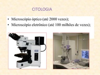 CITOLOGIA
• Microscópio óptico (até 2000 vezes);
• Microscópio eletrônico (até 100 milhões de vezes);
 