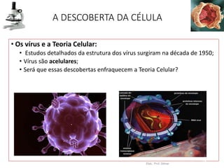 A DESCOBERTA DA CÉLULA
• Os vírus e a Teoria Celular:
• Estudos detalhados da estrutura dos vírus surgiram na década de 1950;
• Vírus são acelulares;
• Será que essas descobertas enfraquecem a Teoria Celular?
Elab.: Prof. Gilmar
16
 