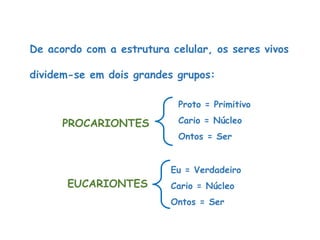 De acordo com a estrutura celular, os seres vivos
dividem-se em dois grandes grupos:
PROCARIONTES
Proto = Primitivo
Cario = Núcleo
Ontos = Ser
EUCARIONTES
Eu = Verdadeiro
Cario = Núcleo
Ontos = Ser
Ciências, 8º Série
Características gerais da célula e suas estruturas
 