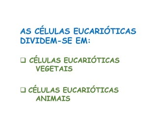 AS CÉLULAS EUCARIÓTICAS
DIVIDEM-SE EM:
 CÉLULAS EUCARIÓTICAS
VEGETAIS
 CÉLULAS EUCARIÓTICAS
ANIMAIS
Ciências, 8º Série
Características gerais da célula e suas estruturas
 