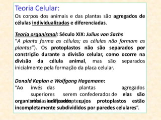 Teoria Celular:
Os corpos dos animais e das plantas são agregados de
células individualizadas e diferenciadas.
Teoria organismal: Século XIX: Julius von Sachs
“A planta forma as células; as células não formam as
plantas”). Os protoplastos não são separados por
constrição durante a divisão celular, como ocorre na
divisão da célula animal, mas são separados
inicialmente pela formação da placa celular.
agregados
Donald Kaplan e Wolfgang Hagemann:
“Ao invés das plantas
superiores serem confederados de
célulasindependentes,
elas são
organismos unificados, cujos protoplastos estão
incompletamente subdivididos por paredes celulares”.
 