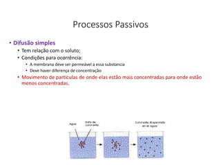 Processos Passivos
• Difusão simples
• Tem relação com o soluto;
• Condições para ocorrência:
• A membrana deve ser permeável a essa substancia
• Deve haver diferença de concentração
• Movimento de partículas de onde elas estão mais concentradas para onde estão
menos concentradas.
40
 