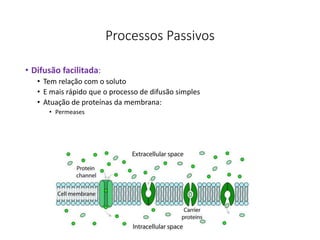 Processos Passivos
• Difusão facilitada:
• Tem relação com o soluto
• E mais rápido que o processo de difusão simples
• Atuação de proteínas da membrana:
• Permeases
41
 