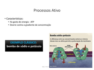 Processos Ativo
• Características:
• Ha gasto de energia - ATP
• Ocorre contra o gradiente de concentração
Elab.: Prof. Gilmar 44
EXEMPLO CLÁSSICO:
bomba de sódio e potássio
 