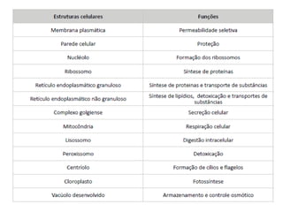 Elab.: Prof. Gilmar 59
 
