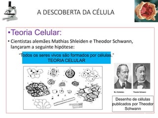 A DESCOBERTA DA CÉLULA
•Teoria Celular:
• Cientistas alemães Mathias Shleiden e Theodor Schwann,
lançaram a seguinte hipótese:
8
“Todos os seres vivos são formados por células.”
TEORIA CELULAR
Desenho de células
publicados por Theodor
Schwann
 