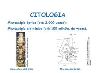 Microscópio óptico (até 2.000 vezes);
Microscópio eletrônico (até 100 milhões de vezes).
CITOLOGIA
Microscópio eletrônico Microscópio Óptico
Ciências, 8º Série
Características gerais da célula e suas estruturas
Imagem:
1-A
Siemens,
Microscópio
Eletrônico
/
Stahlkocher
/
GNU
Free
Documentation
License
Imagem:
O
microscópio
e
as
suas
partes
/
Chiquidama
/
Creative
Commons
Attribution
3.0
Unported.
 