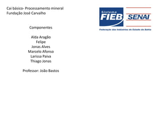Cai básico- Processamento mineral
Fundação José Carvalho


             Componentes

             Alda Aragão
                Felipe
              Jonas Alves
            Marcelo Afonso
             Larissa Paiva
             Thiago Jonas

         Professor: João Bastos
 
