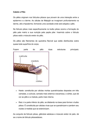 Cabelo e Pêlo
Os pêlos originam nos folículos pilosos que provem de uma interação entre a
epiderme e a derme. As células de Malpighi se invaginam profundamente na
derme, até a hipoderme, formando uma cavidade onde será alojado o pêlo.
No folículo piloso mais especificamente no bulbo piloso ocorre a formação do
pêlo pela matriz e sua nutrição pela papila pilar. Inserindo sobre o folículo
piloso está o músculo eretor do pêlo.
Os pêlos são filamentos de queratina flexível que estão distribuídos sobre
quase toda superfície do corpo.
Fazem parte do pêlo duas estruturas principais:
 Haste: constituída por células mortas queratinizadas dispostas em três
camadas, a cutícula, camada mais externa e escamosa, o córtex, que dá
cor ao pêlo e a medula, parte mais interna.
 Raiz: é a parte inferior do pêlo, se dilatando na base para formar o bulbo
piloso. É constituída por células vivas que se queratinizam e perdem seu
núcleo à medida que se exteriorizam.
Ao conjunto de folículo piloso, glândula sebácea e músculo eretor do pelo, dá
se o nome de folículo pilossebáceo.
 