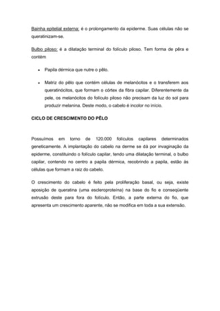 Bainha epitelial externa: é o prolongamento da epiderme. Suas células não se
queratinizam-se.
Bulbo piloso: é a dilatação terminal do folículo piloso. Tem forma de pêra e
contém
 Papila dérmica que nutre o pêlo.
 Matriz do pêlo que contém células de melanócitos e o transferem aos
queratinócitos, que formam o córtex da fibra capilar. Diferentemente da
pele, os melanócitos do folículo piloso não precisam da luz do sol para
produzir melanina. Deste modo, o cabelo é incolor no início.
CICLO DE CRESCIMENTO DO PÊLO
Possuímos em torno de 120.000 folículos capilares determinados
geneticamente. A implantação do cabelo na derme se dá por invaginação da
epiderme, constituindo o folículo capilar, tendo uma dilatação terminal, o bulbo
capilar, contendo no centro a papila dérmica, recobrindo a papila, estão às
células que formam a raiz do cabelo.
O crescimento do cabelo é feito pela proliferação basal, ou seja, existe
aposição de queratina (uma escleroproteína) na base do fio e conseqüente
extrusão deste para fora do folículo. Então, a parte externa do fio, que
apresenta um crescimento aparente, não se modifica em toda a sua extensão.
 