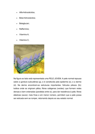  Alfa-hidroxiácidos;
 Beta-hidroxiácidos;
 Betaglucan;
 Raffermine;
 Vitamina A;
 Vitamina C;
Na figura ao lado está representada uma PELE JOVEM. A pele normal repousa
sobre a gordura subcutânea (g), e é constituída pela epiderme (e), e a derme
(d). Na derme encontram-se estruturas importantes: folículos pilosos (fo):
bulbos onde se originam pêlos; fibras colágenas (verdes): que formam redes
densas e bem ordenadas (paralelas entre si), para dar resistência à pele; fibras
elásticas (azuis): mais finas e em menor número, permitem que a pele possa
ser esticada sem se romper, retornando depois ao seu estado normal.
 