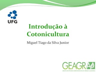 Introdução à
Cotonicultura
Miguel Tiago da Silva Junior
 