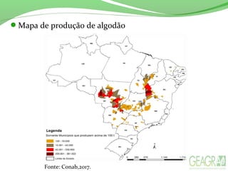 Mapa de produção de algodão
Fonte: Conab,2017.
 
