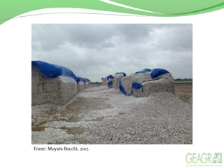 Fonte: Moysés Bocchi, 2017.
 