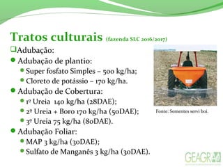 Tratos culturais (fazenda SLC 2016/2017)
Adubação:
Adubação de plantio:
Super fosfato Simples – 500 kg/ha;
Cloreto de potássio – 170 kg/ha.
Adubação de Cobertura:
1º Ureia 140 kg/ha (28DAE);
2º Ureia + Boro 170 kg/ha (50DAE);
3º Ureia 75 kg/ha (80DAE).
Adubação Foliar:
MAP 3 kg/ha (30DAE);
Sulfato de Manganês 3 kg/ha (30DAE).
Fonte: Sementes servi boi.
 