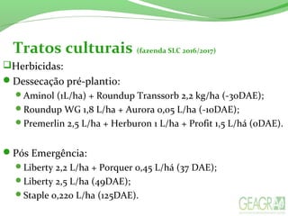 Tratos culturais (fazenda SLC 2016/2017)
Herbicidas:
Dessecação pré-plantio:
Aminol (1L/ha) + Roundup Transsorb 2,2 kg/ha (-30DAE);
Roundup WG 1,8 L/ha + Aurora 0,05 L/ha (-10DAE);
Premerlin 2,5 L/ha + Herburon 1 L/ha + Profit 1,5 L/há (0DAE).
Pós Emergência:
Liberty 2,2 L/ha + Porquer 0,45 L/há (37 DAE);
Liberty 2,5 L/ha (49DAE);
Staple 0,220 L/ha (125DAE).
 