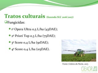 Tratos culturais (fazenda SLC 2016/2017)
Fungicidas:
1º Opera Ultra 0,5 L/ha (43DAE);
2º Priori Top 0,3 L/ha (75DAE);
3º Score 0,4 L/ha (91DAE);
4º Score 0,4 L/ha (115DAE).
Fonte: Celeiro do Norte, 2017.
 