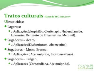 Tratos culturais (fazenda SLC 2016/2017)
Inseticidas:
Lagartas:
7 Aplicações(clorpirifós, Clorfenapir, Flubendiamide,
Luferurim, Benzoato de Emamectina, Metomil).
Sugadores – Ácaro:
4 Aplicações(Diafentiurom, Abamectina).
Sugadores – Mosca Branca:
2 Aplicações ( Acetamiprido, Espiromesifeno).
Sugadores - Pulgão:
4 Aplicações (Carbosulfona, Acetamiprido).
 
