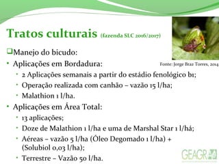 Tratos culturais (fazenda SLC 2016/2017)
Manejo do bicudo:
• Aplicações em Bordadura:
• 2 Aplicações semanais a partir do estádio fenológico b1;
• Operação realizada com canhão – vazão 15 l/ha;
• Malathion 1 l/ha.
• Aplicações em Área Total:
• 13 aplicações;
• Doze de Malathion 1 l/ha e uma de Marshal Star 1 l/há;
• Aéreas – vazão 5 l/ha (Óleo Degomado 1 l/ha) +
(Solubiol 0,03 l/ha);
• Terrestre – Vazão 50 l/ha.
Fonte: Jorge Braz Torres, 2014.
 