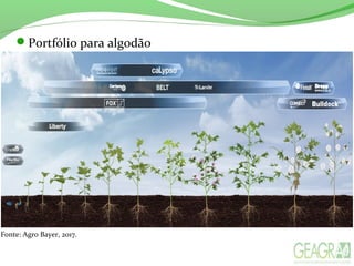 Fonte: Agro Bayer, 2017.
Portfólio para algodão
 