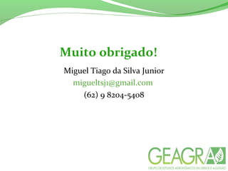 Muito obrigado!
Miguel Tiago da Silva Junior
migueltsj1@gmail.com
(62) 9 8204-5408
 