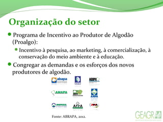 Organização do setor
Programa de Incentivo ao Produtor de Algodão
(Proalgo):
Incentivo à pesquisa, ao marketing, à comercialização, à
conservação do meio ambiente e à educação.
Congregar as demandas e os esforços dos novos
produtores de algodão.
Fonte: ABRAPA, 2012.
 