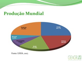 Produção Mundial
Fonte: USDA, 2017.
 