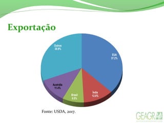 Exportação
Fonte: USDA, 2017.
 