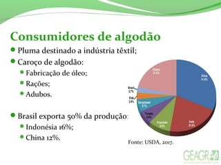 Consumidores de algodão
Pluma destinado a indústria têxtil;
Caroço de algodão:
Fabricação de óleo;
Rações;
Adubos.
Brasil exporta 50% da produção:
Indonésia 16%;
China 12%.
Fonte: USDA, 2017.
 