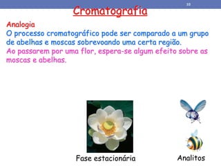 Analogia
O processo cromatográfico pode ser comparado a um grupo
de abelhas e moscas sobrevoando uma certa região.
Ao passarem por uma flor, espera-se algum efeito sobre as
moscas e abelhas.
Cromatografia
Fase estacionária Analitos
10
 