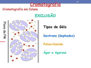 Cromatografia
Cromatografia em Coluna
EXCLUSÃO
Tipos de Géis
Dextrano (Sephadex)
Poliacrilamida
Ágar e Agarose
Fluxo
da
FM 37
 