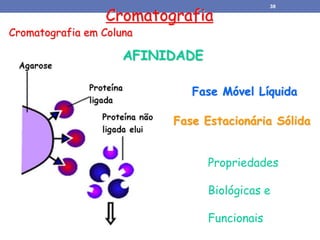 Cromatografia
Cromatografia em Coluna
Fase Móvel Líquida
Fase Estacionária Sólida
Propriedades
Biológicas e
Funcionais
AFINIDADE
38
 