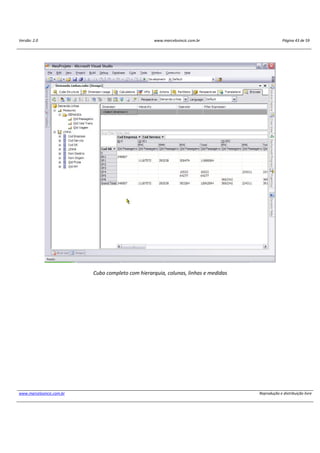 Versão: 2.0 www.marcelosincic.com.br Página 43 de 59
www.marcelosincic.com.br Reprodução e distribuição livre
Cubo completo com hierarquia, colunas, linhas e medidas
 