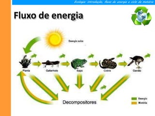 Fluxo de energia
Ecologia: introdução, fluxo de energia e ciclo da matéria
 