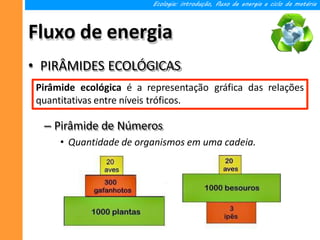 Fluxo de energia
Ecologia: introdução, fluxo de energia e ciclo da matéria
• PIRÂMIDES ECOLÓGICAS
– Pirâmide de Números
• Quantidade de organismos em uma cadeia.
Pirâmide ecológica é a representação gráfica das relações
quantitativas entre níveis tróficos.
 
