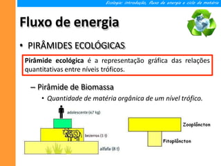 Fluxo de energia
Ecologia: introdução, fluxo de energia e ciclo da matéria
• PIRÂMIDES ECOLÓGICAS
– Pirâmide de Biomassa
• Quantidade de matéria orgânica de um nível trófico.
Pirâmide ecológica é a representação gráfica das relações
quantitativas entre níveis tróficos.
 