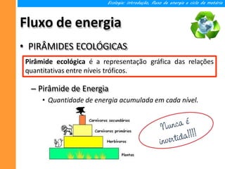 Fluxo de energia
Ecologia: introdução, fluxo de energia e ciclo da matéria
• PIRÂMIDES ECOLÓGICAS
– Pirâmide de Energia
• Quantidade de energia acumulada em cada nível.
Pirâmide ecológica é a representação gráfica das relações
quantitativas entre níveis tróficos.
 