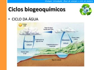 Ciclos biogeoquímicos
• CICLO DA ÁGUA
Ecologia: introdução, fluxo de energia e ciclo da matéria
PEQUENO
CICLO
GRANDE
CICLO
 